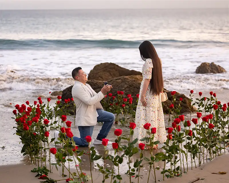 Proposal on the Beach