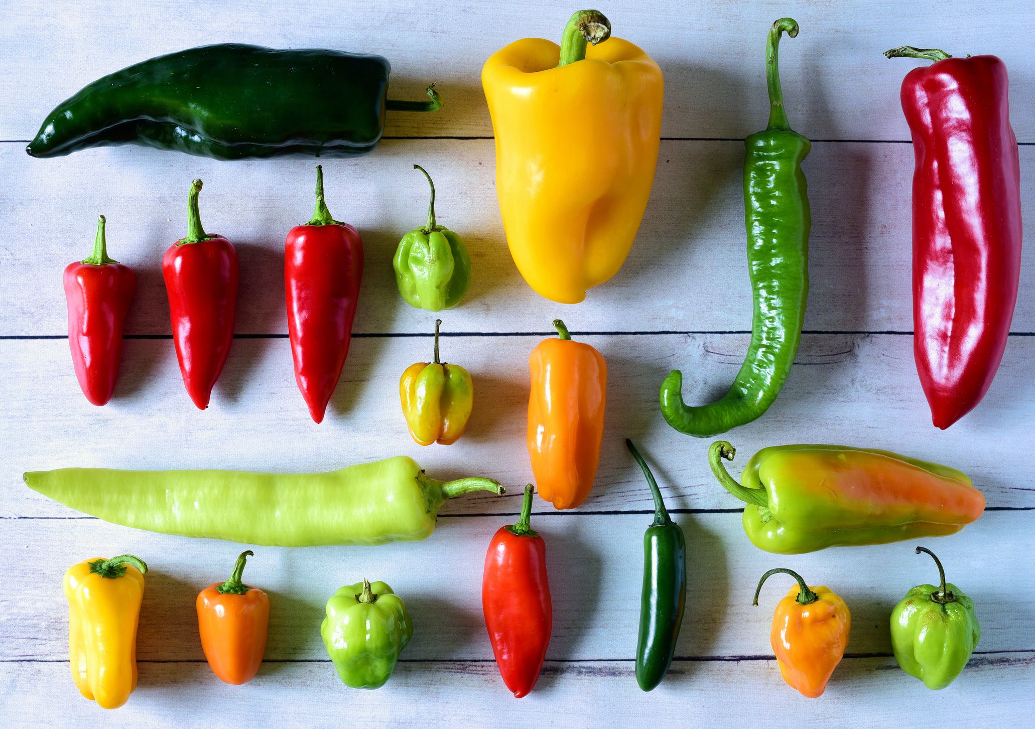 How Hot Is That Chili Pepper?